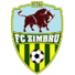 基希讷乌野牛logo