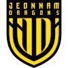 全南天龙logo