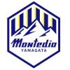 山形山神logo